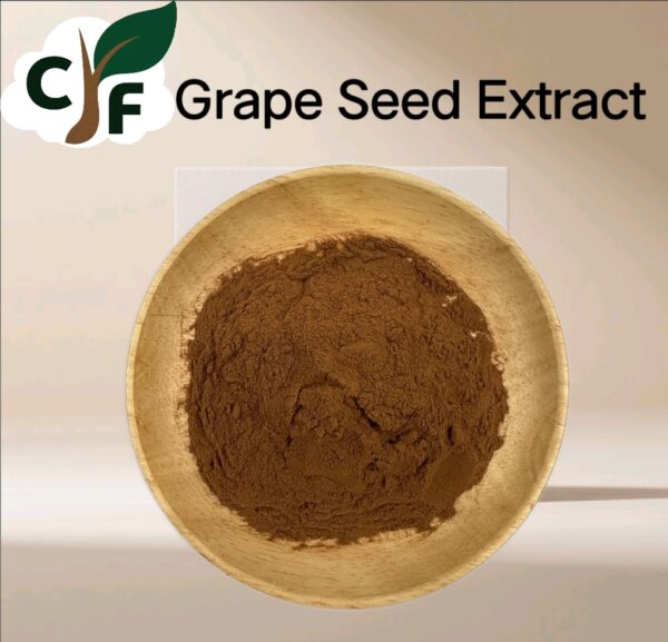 Grape Seed Extract - Image 1