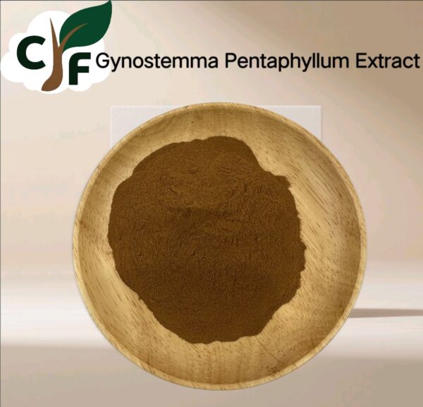 Gynostemma Pentaphyllum Extract - Image 1