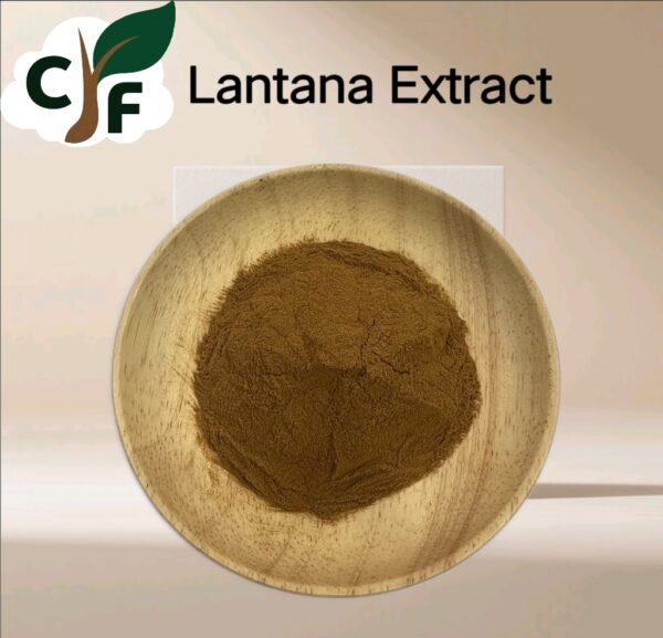 Lantana Extract - Image 1