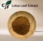 Lotus Leaf Extract