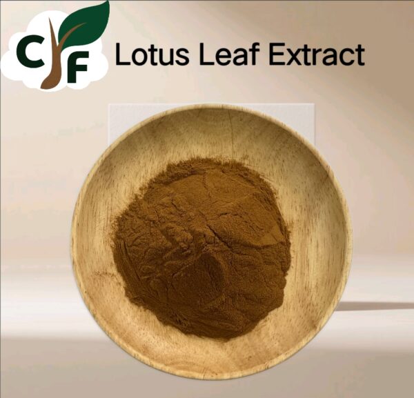 Lotus Leaf Extract - Image 1