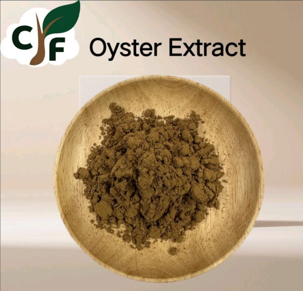 Oyster Extract - Image 1
