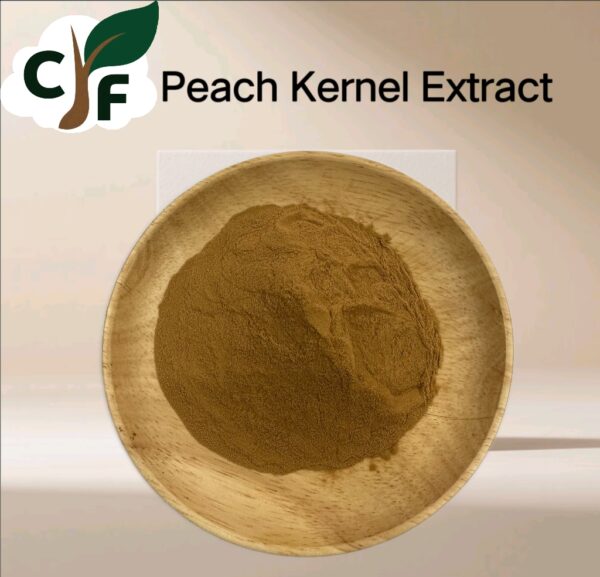 Peach Kernel Extract - Image 1