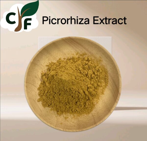 Picrorhiza Extract - Image 1