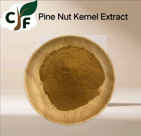 Pine Nut Kernel Extract - Image 1