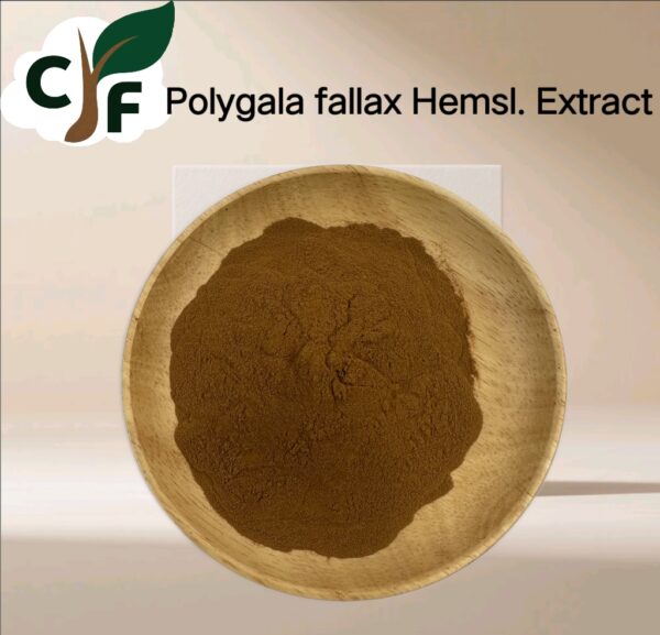 Polygala fallax Hemsl. Extract - Image 1