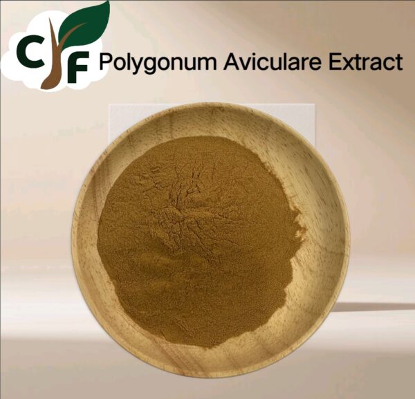 Polygonum Aviculare Extract - Image 1