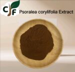 Psoralea corylifolia extract