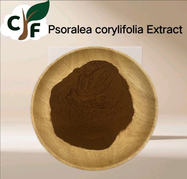 Psoralea corylifolia extract - Image 1