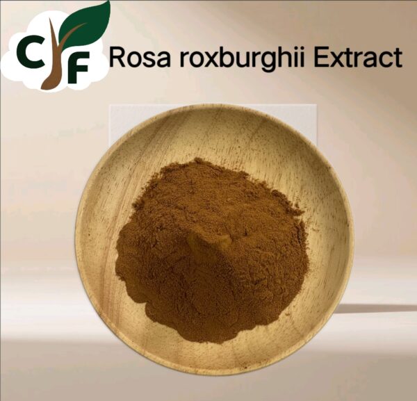 Rosa Roxburghii Extract - Image 1