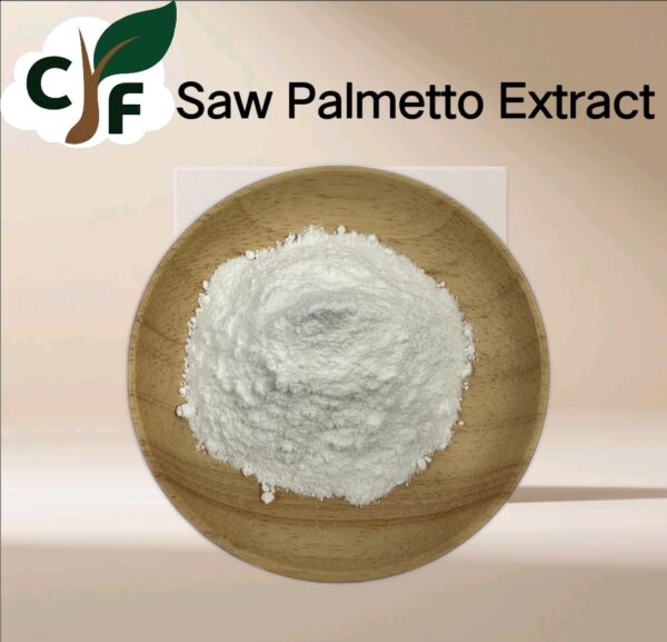 Saw Palmetto Extract - Image 1