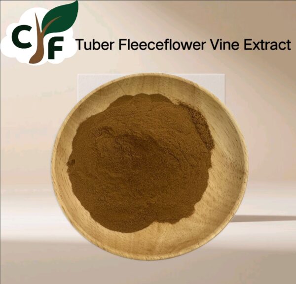 Tuber Fleeceflower Vine Extract - Image 1