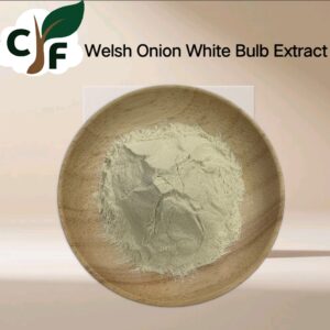 Welsh Onion White Bulb Extract