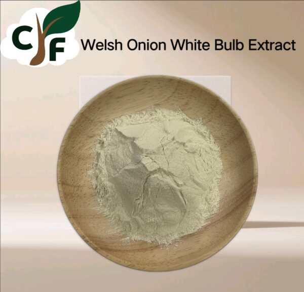 Welsh Onion White Bulb Extract - Image 1