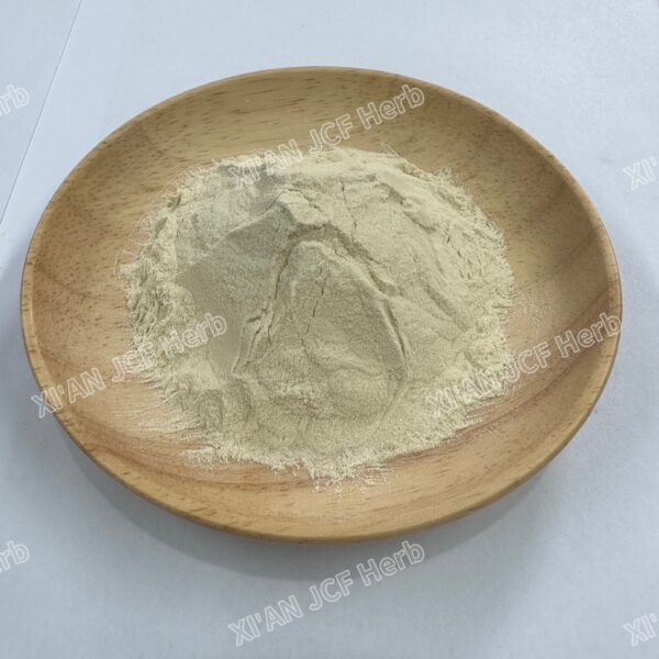Welsh Onion White Bulb Extract - Image 3