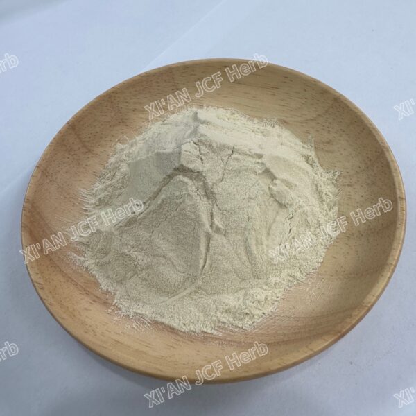 Welsh Onion White Bulb Extract - Image 4