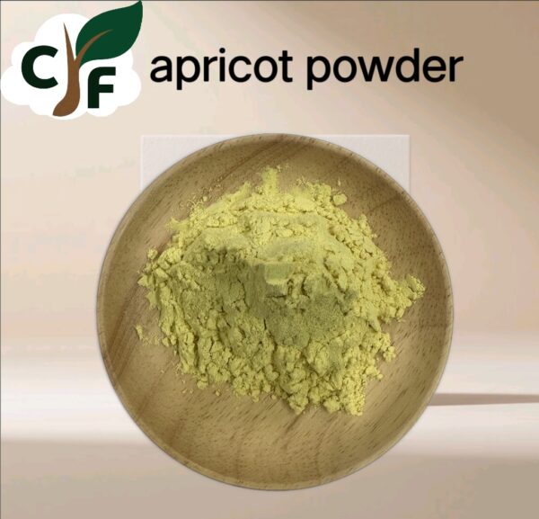 Apricot Fruit Powder - Image 1