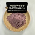 Aronia Berry Powder - Image 2