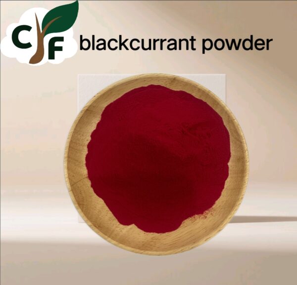 Black Currant Powder - Image 1