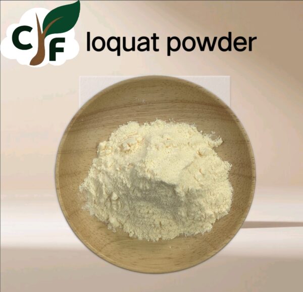 Loquat Powder - Image 1