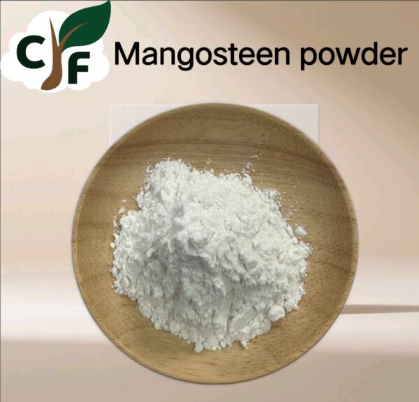Mangosteen Powder - Image 1