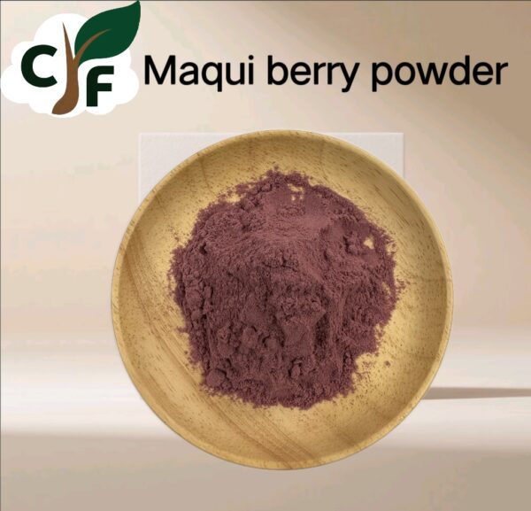 Maqui Berry Powder - Image 1