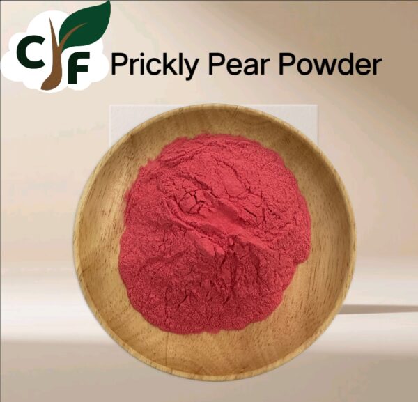 Prickly Pear Powder - Bild 1
