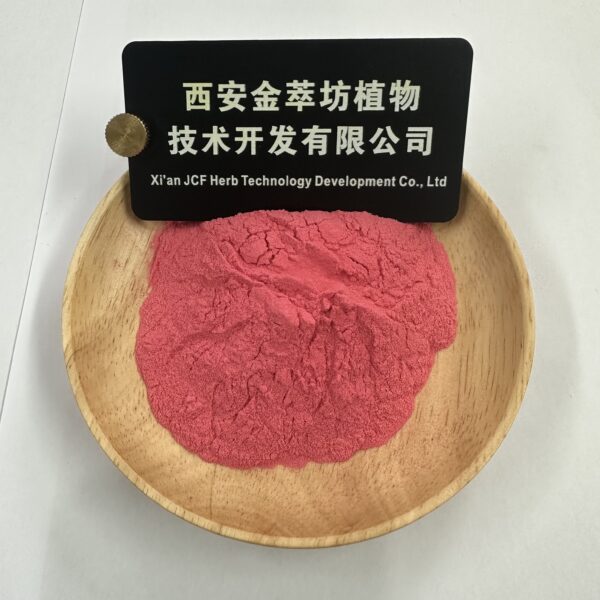 Prickly Pear Powder - Bild 2