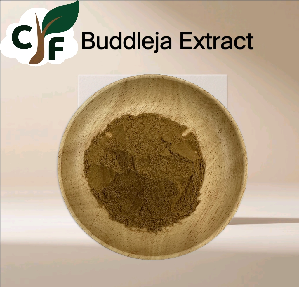 Buddleja Extract 1 Buddleja Extract - Image 1