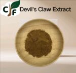 Devil's Claw Extract 