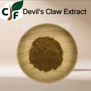 Devil's Claw Extract 