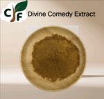 Divine Comedy Extract 