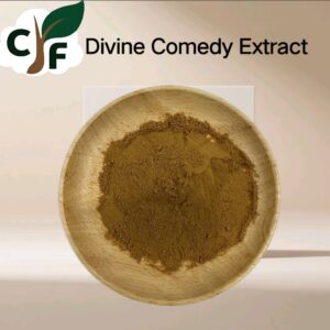 Divine Comedy Extract 