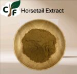 Horsetail Extract