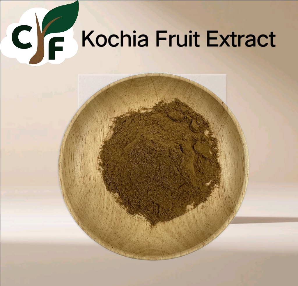 Kochia Fruit Extract 1 Kochia Fruit Extract - Изображение 1