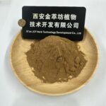 Kochia Fruit Extract - Изображение 2