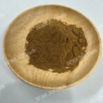 Kochia Fruit Extract - Изображение 3