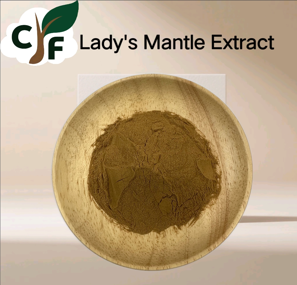 Lady's Mantle Extract 1 Lady's Mantle Extract - Image 1