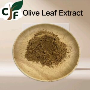 Olive Leaf Extract