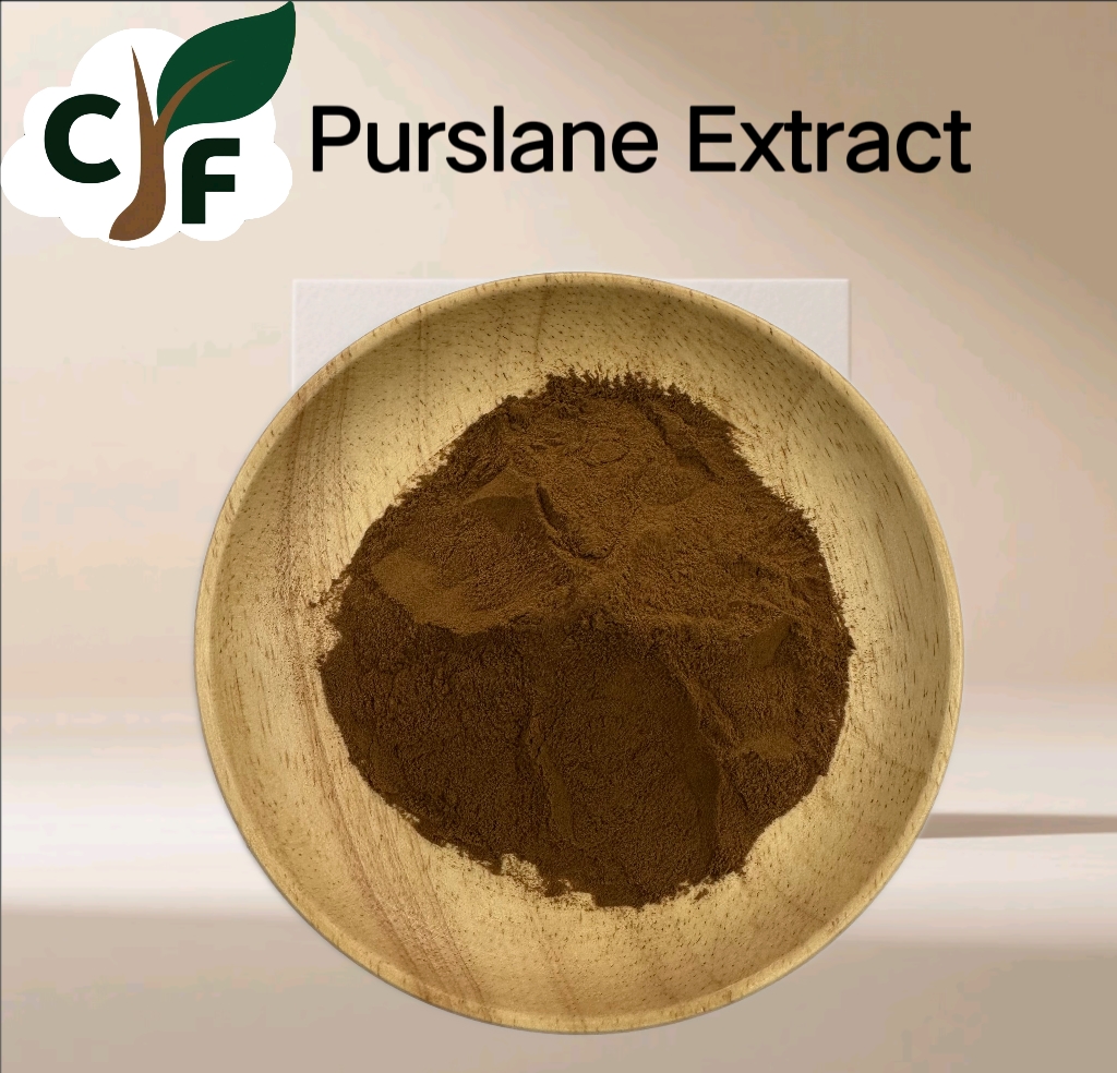 Purslane Extract 1 Purslane Extract - Изображение 1