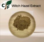 Witch Hazel Extract