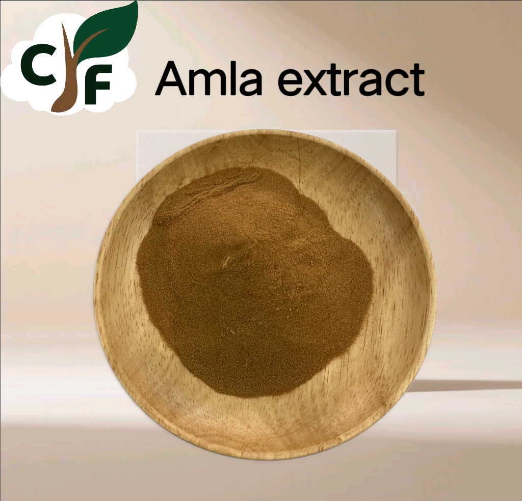 Amla extract 1 Amla Extract - Image 1