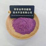 Blueberry Extract - 画像2