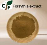 Forsythia Extract