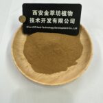 Forsythia Extract - صورة 2