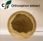 Orthosiphon extract