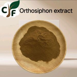 Orthosiphon extract