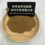 Orthosiphon extract - صورة 2