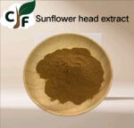 Sunflower Head Extract