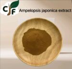 Ampelopsis Japonica Extract